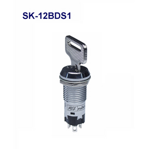 NKKå åå SK-12BDS1